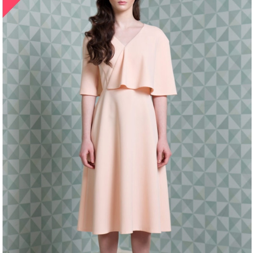 Flamingo Dress - Picture 6 of 7